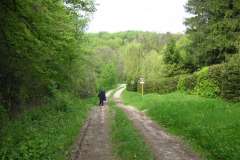 KONICA MINOLTA DIGITAL CAMERA