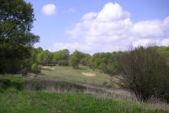 KONICA MINOLTA DIGITAL CAMERA