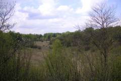 KONICA MINOLTA DIGITAL CAMERA