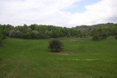 KONICA MINOLTA DIGITAL CAMERA