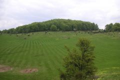 KONICA MINOLTA DIGITAL CAMERA