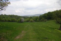 KONICA MINOLTA DIGITAL CAMERA