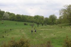 KONICA MINOLTA DIGITAL CAMERA