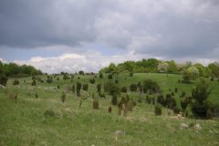 KONICA MINOLTA DIGITAL CAMERA