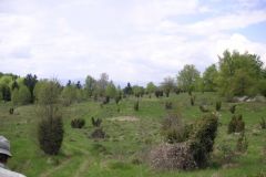 KONICA MINOLTA DIGITAL CAMERA