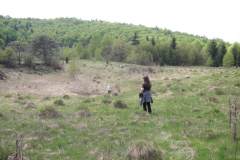 KONICA MINOLTA DIGITAL CAMERA