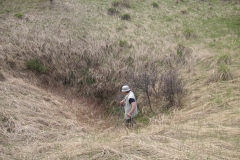 KONICA MINOLTA DIGITAL CAMERA