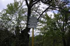 KONICA MINOLTA DIGITAL CAMERA