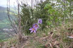 KONICA MINOLTA DIGITAL CAMERA