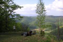 KONICA MINOLTA DIGITAL CAMERA