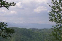 KONICA MINOLTA DIGITAL CAMERA