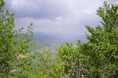 KONICA MINOLTA DIGITAL CAMERA