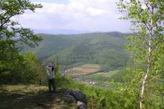 KONICA MINOLTA DIGITAL CAMERA