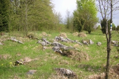 KONICA MINOLTA DIGITAL CAMERA