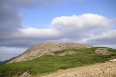 KONICA MINOLTA DIGITAL CAMERA