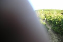 KONICA MINOLTA DIGITAL CAMERA