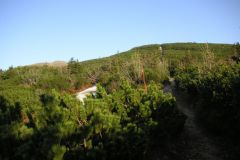 KONICA MINOLTA DIGITAL CAMERA