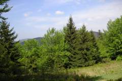 KONICA MINOLTA DIGITAL CAMERA