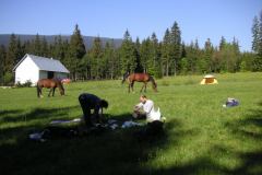 KONICA MINOLTA DIGITAL CAMERA