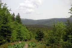 KONICA MINOLTA DIGITAL CAMERA