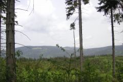 KONICA MINOLTA DIGITAL CAMERA