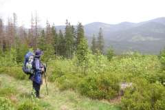 KONICA MINOLTA DIGITAL CAMERA