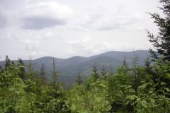 KONICA MINOLTA DIGITAL CAMERA