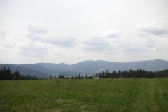 KONICA MINOLTA DIGITAL CAMERA