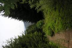 KONICA MINOLTA DIGITAL CAMERA