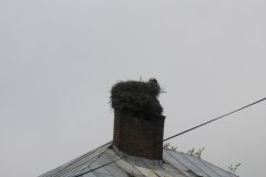 KONICA MINOLTA DIGITAL CAMERA