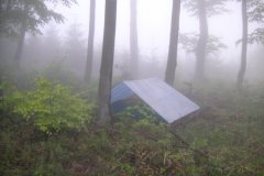 KONICA MINOLTA DIGITAL CAMERA