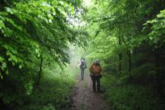 KONICA MINOLTA DIGITAL CAMERA