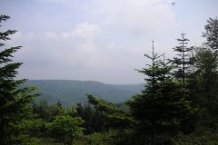 KONICA MINOLTA DIGITAL CAMERA