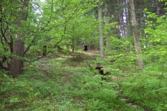 KONICA MINOLTA DIGITAL CAMERA