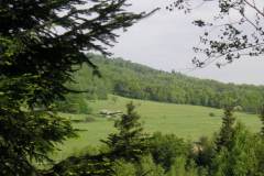 KONICA MINOLTA DIGITAL CAMERA