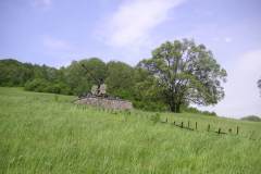 KONICA MINOLTA DIGITAL CAMERA