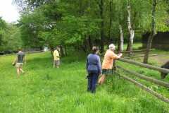 KONICA MINOLTA DIGITAL CAMERA