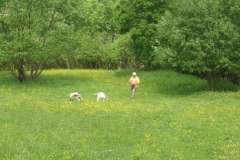 KONICA MINOLTA DIGITAL CAMERA