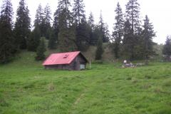 KONICA MINOLTA DIGITAL CAMERA