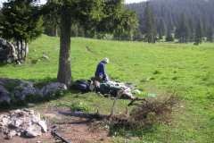 KONICA MINOLTA DIGITAL CAMERA