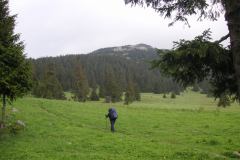 KONICA MINOLTA DIGITAL CAMERA