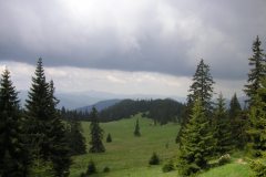 KONICA MINOLTA DIGITAL CAMERA