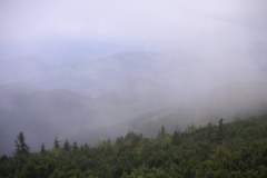 KONICA MINOLTA DIGITAL CAMERA