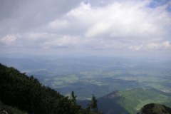 KONICA MINOLTA DIGITAL CAMERA