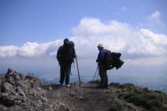 KONICA MINOLTA DIGITAL CAMERA