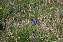 KONICA MINOLTA DIGITAL CAMERA