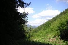 KONICA MINOLTA DIGITAL CAMERA