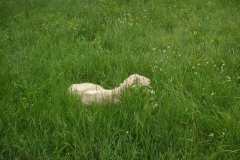 KONICA MINOLTA DIGITAL CAMERA