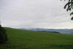 KONICA MINOLTA DIGITAL CAMERA