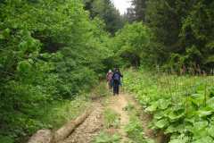 KONICA MINOLTA DIGITAL CAMERA